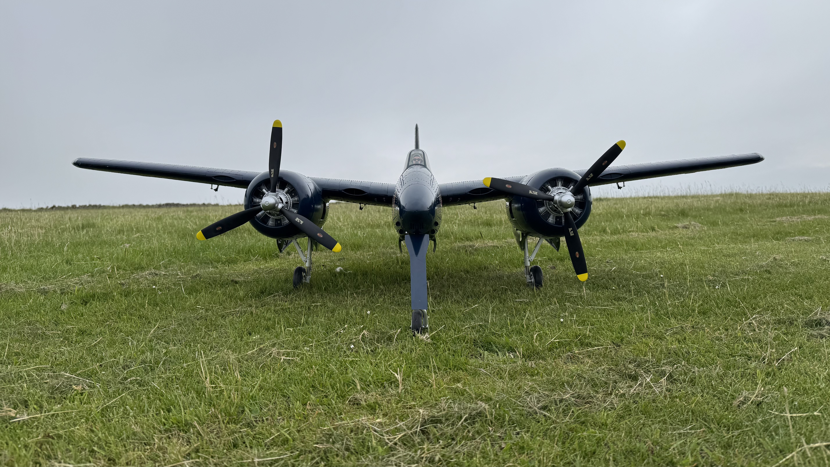 NickWildman81
